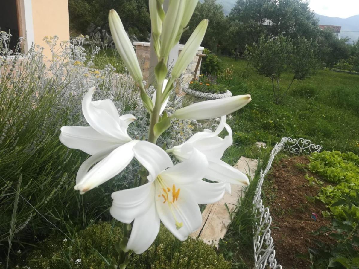 Castello Flower Apartment Kastela Luaran gambar