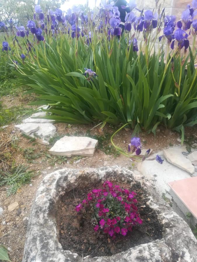 Castello Flower Apartment Kastela Luaran gambar
